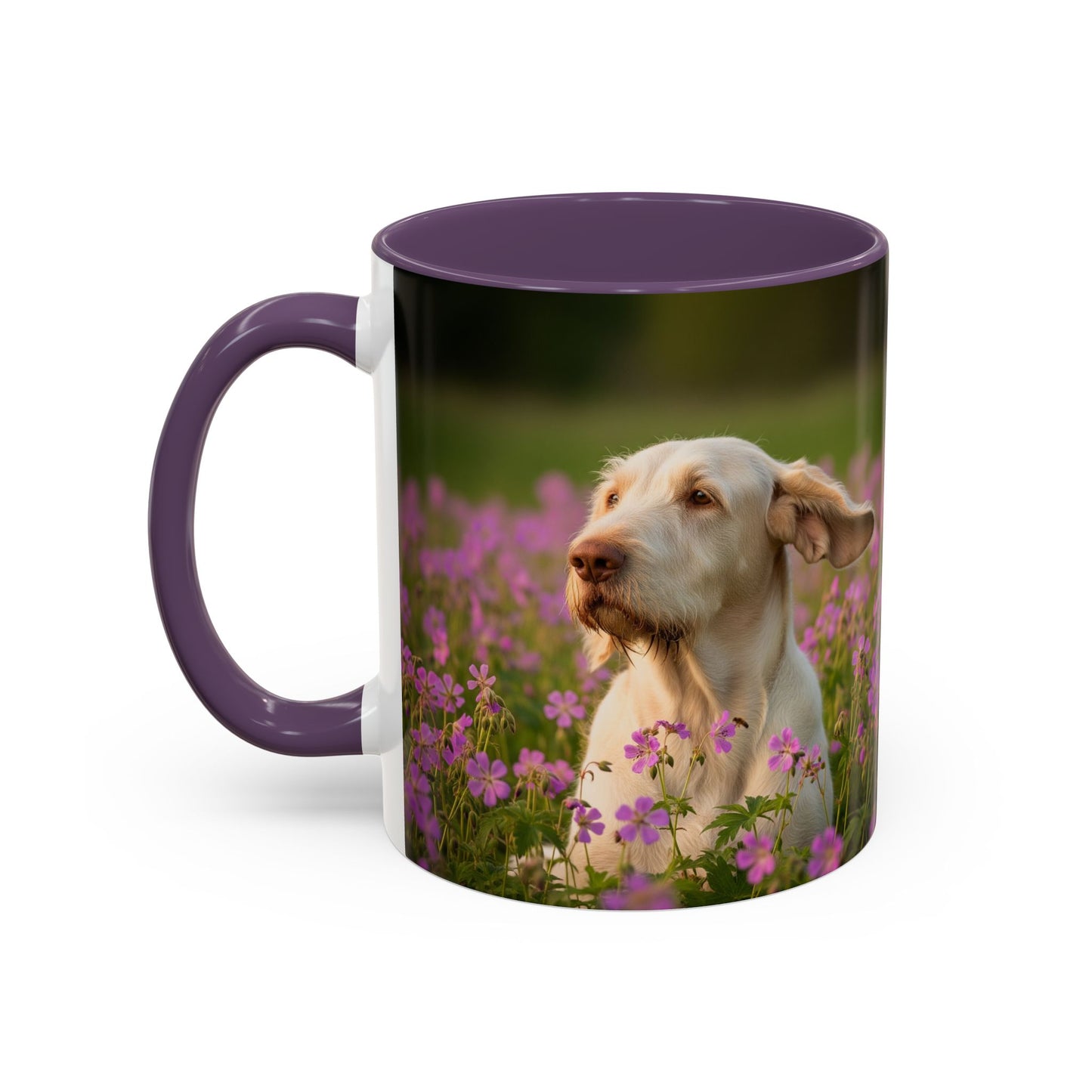 Spinone Italiano Accent Coffee Mug - Perfect Gift for Dog Lovers
