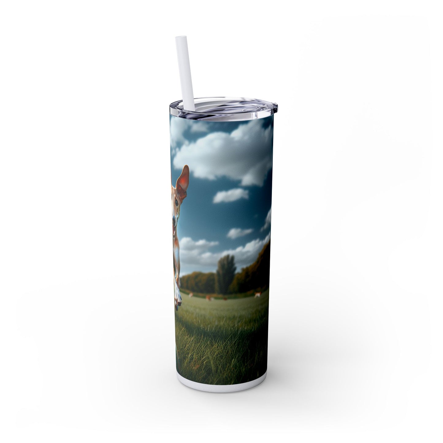 Ibizan Hound Tumbler with Straw, 20oz