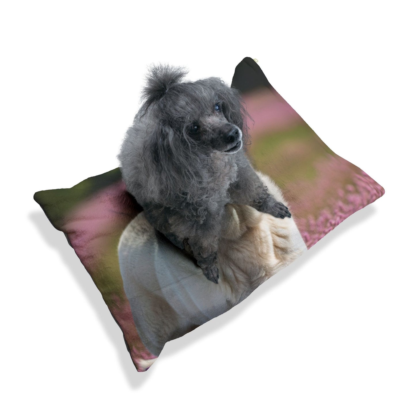Anatolian Shepherd Dog Pet Bed