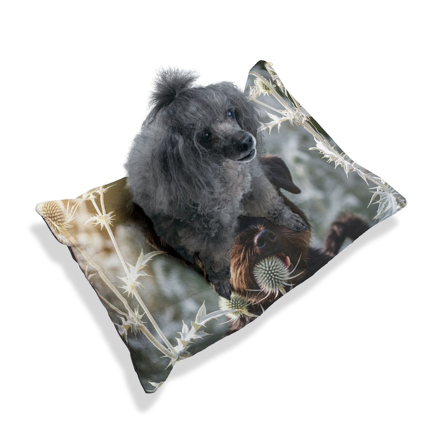 Affenpinscher Pet Bed