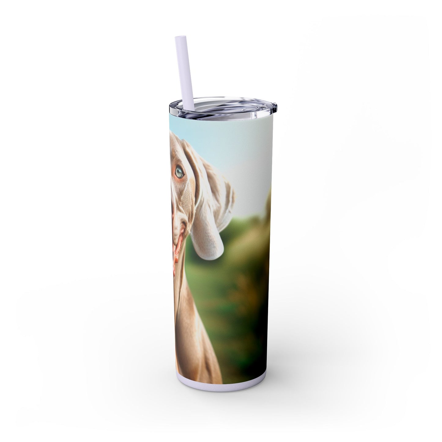 Weimaraner Skinny Tumbler with Straw, 20oz