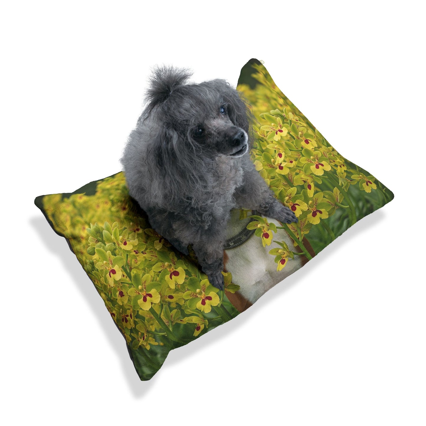 Basenji Pet Bed