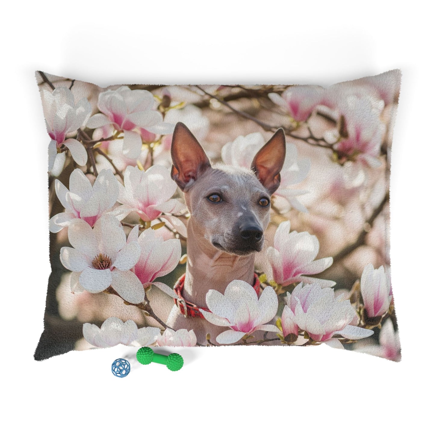 American Hairless Terrier Pet Bed