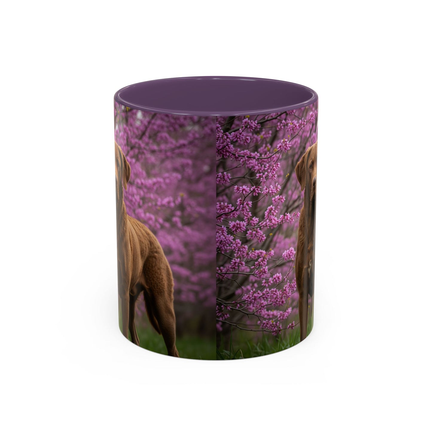 Chesapeake Bay Retriever Accent Coffee Mug - Perfect Gift for Dog Lovers