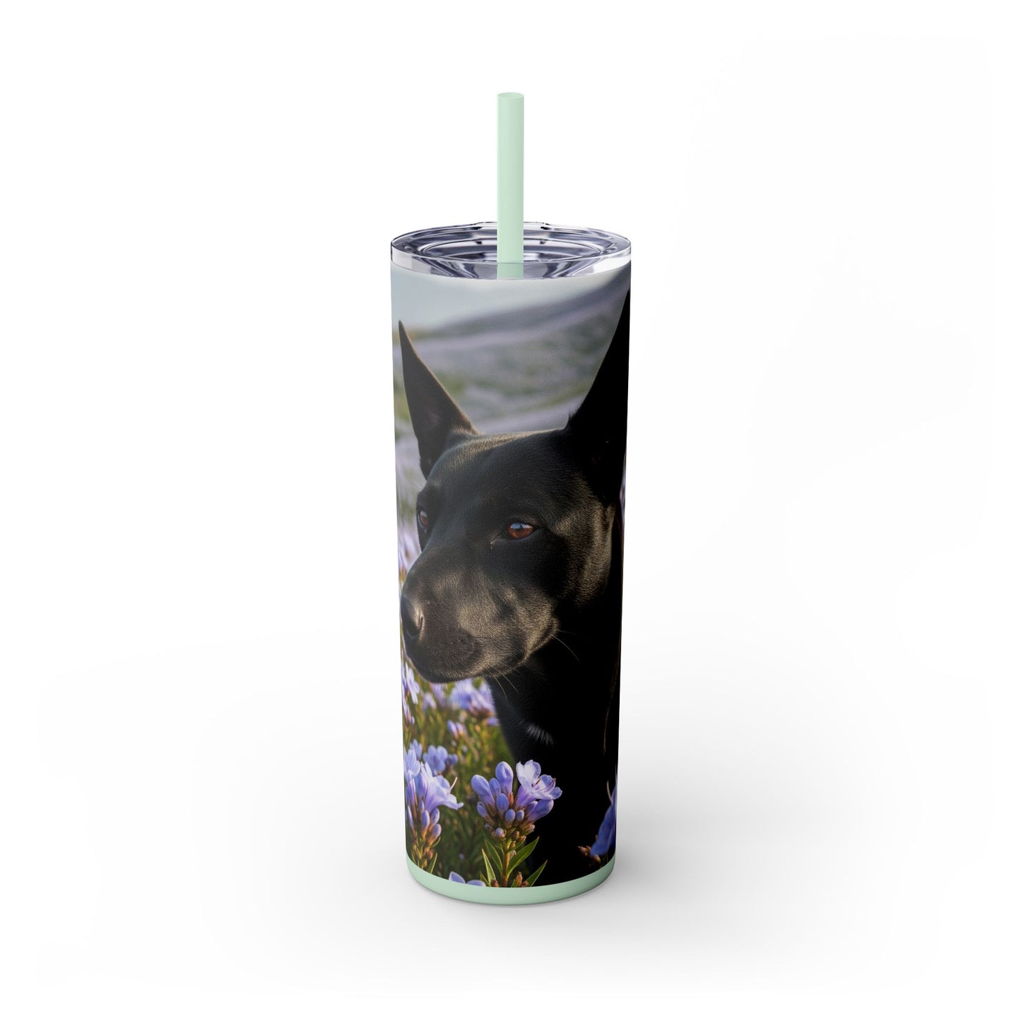 Kanni Tumbler with Straw, 20oz