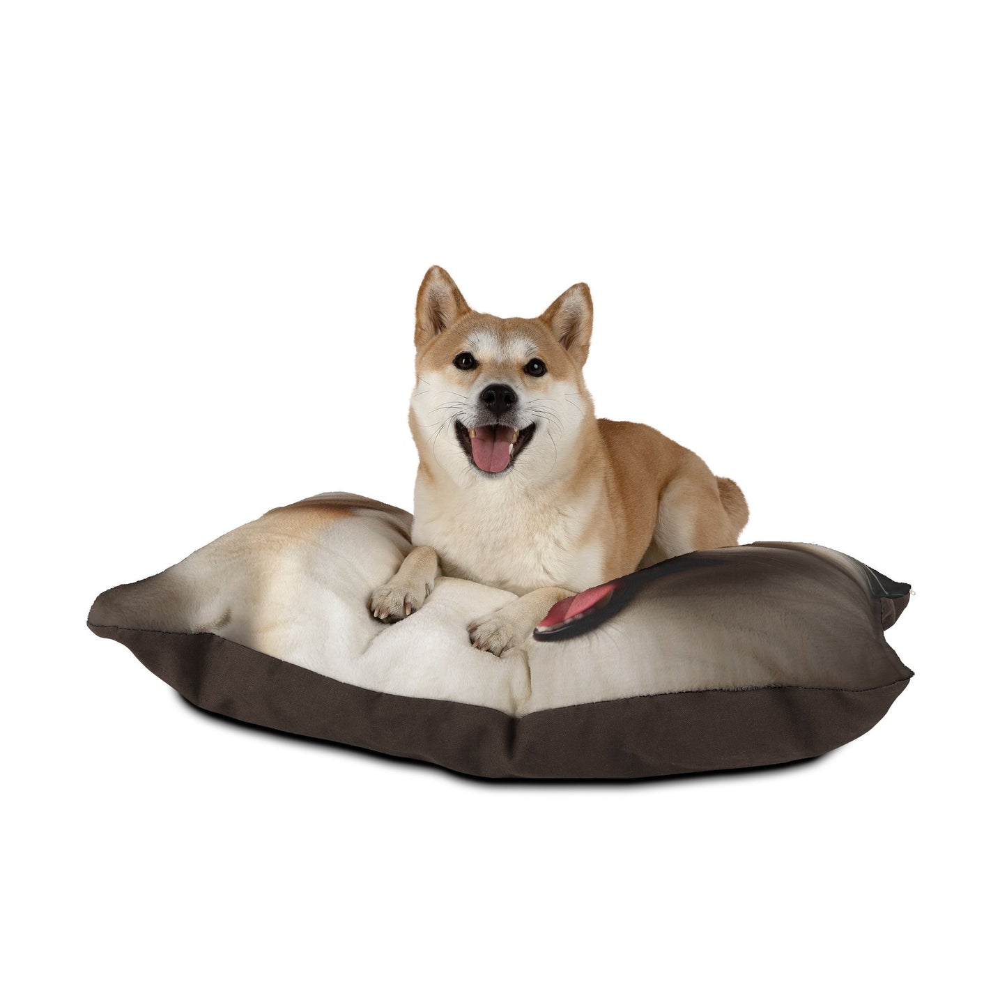 Norrbottenspets Pet Bed