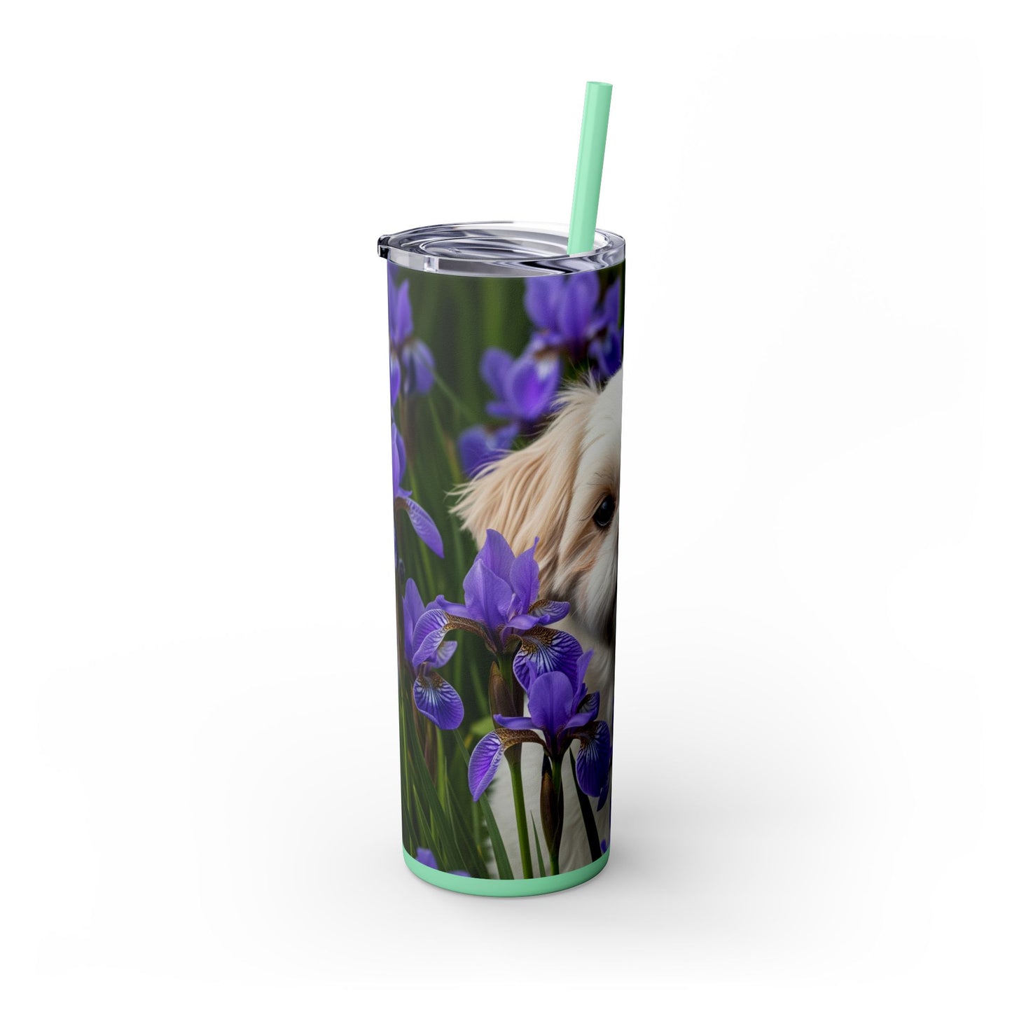 Shihchon Tumbler with Straw, 20oz