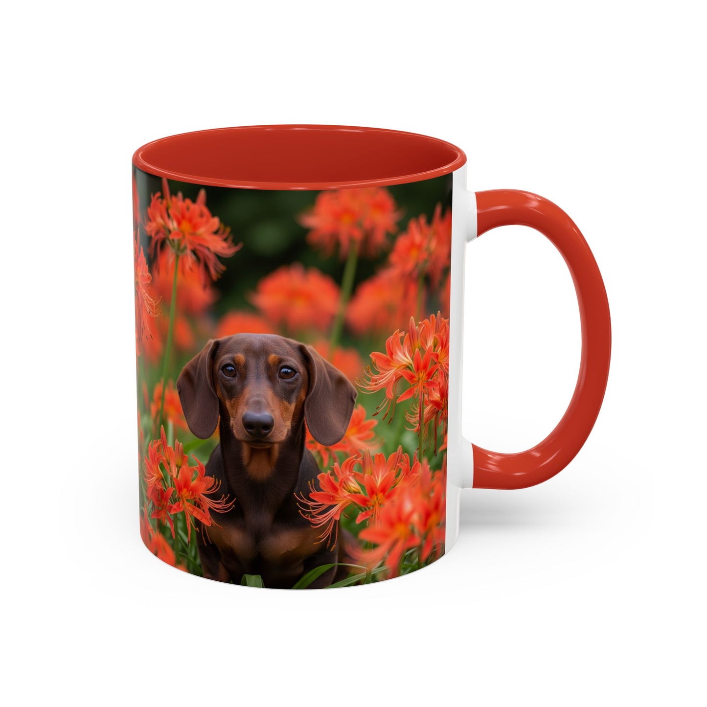 Dachshund Accent Coffee Mug - Perfect Gift for Dog Lovers