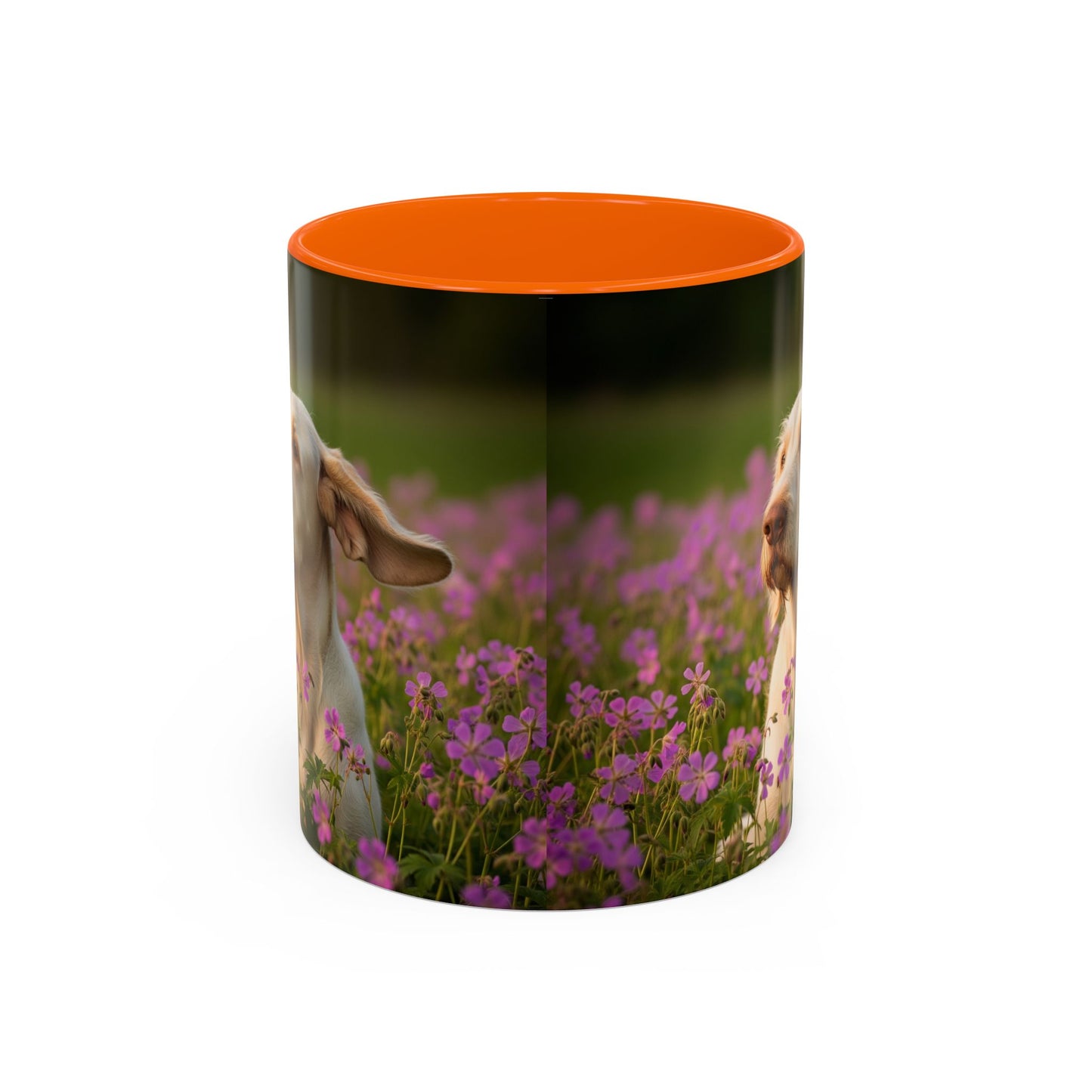 Spinone Italiano Accent Coffee Mug - Perfect Gift for Dog Lovers