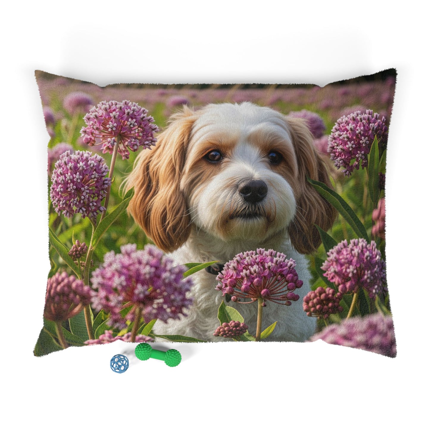 Cavachon Pet Bed