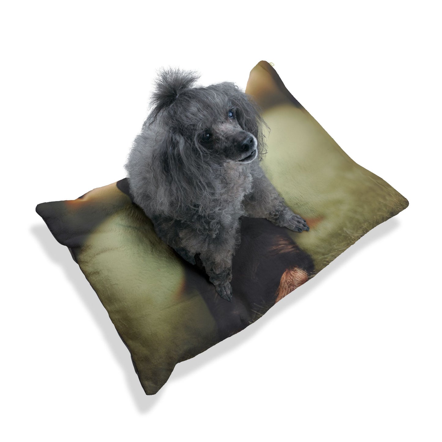 German Hunting Terrier Pet Bed