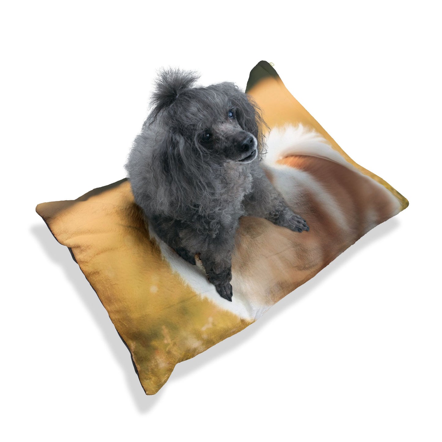 Keeshond Pet Bed