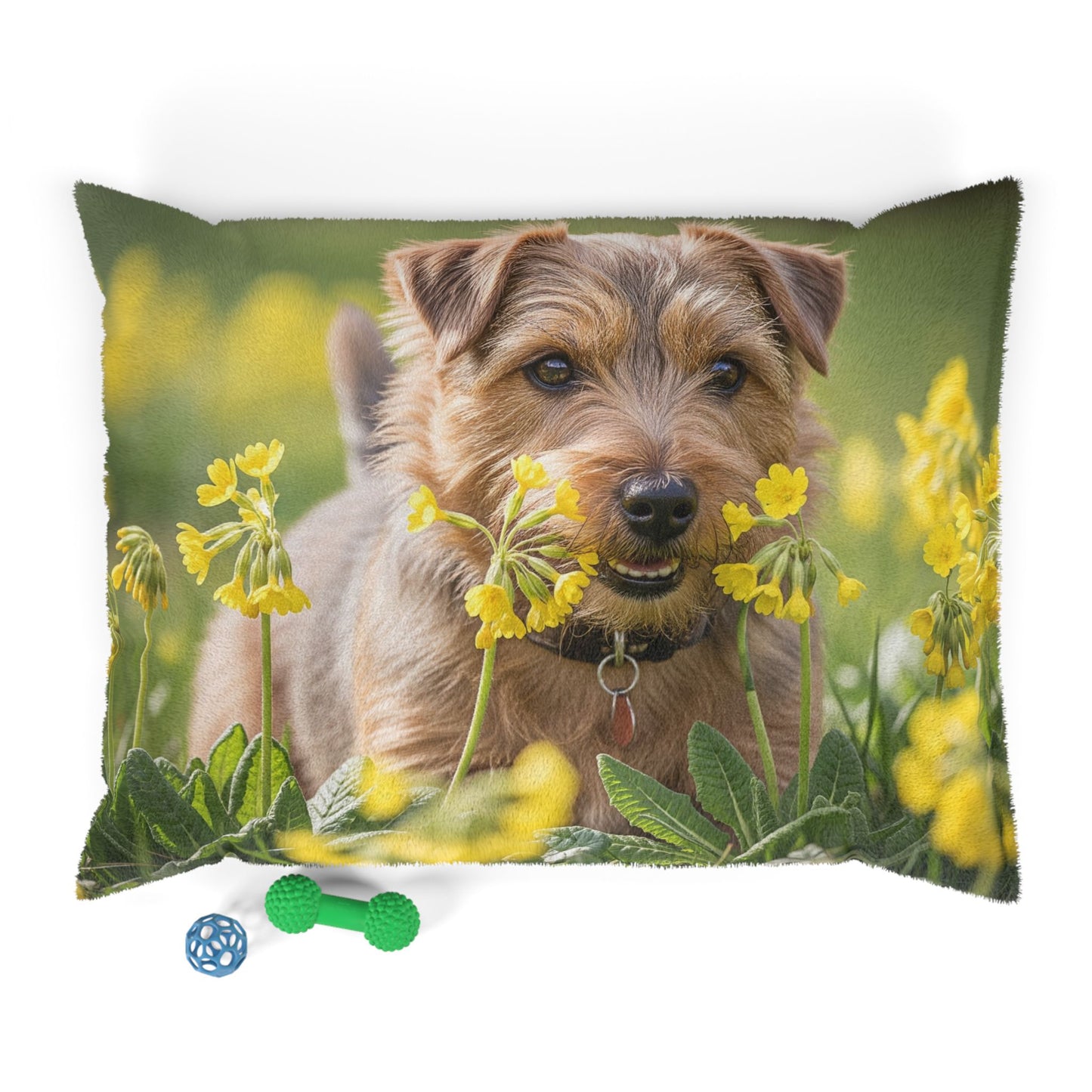Norfolk Terrier Pet Bed