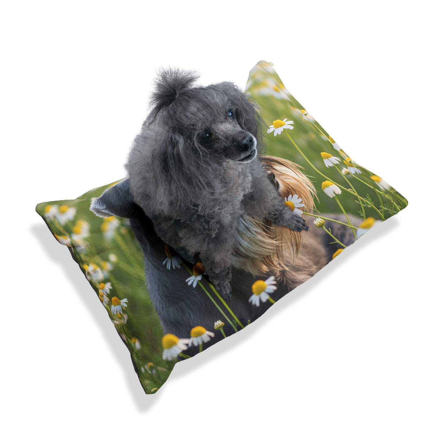 Miniature Schnauzer Pet Bed