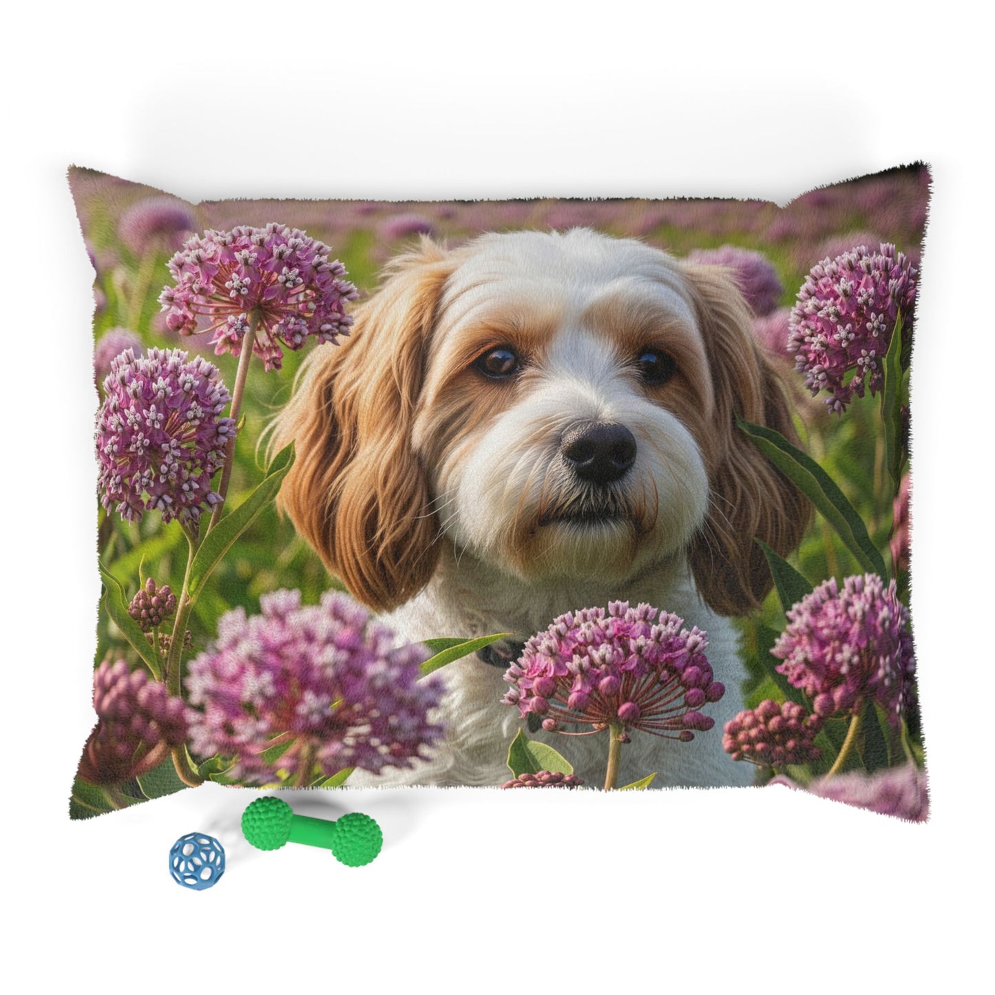 Cavachon Pet Bed