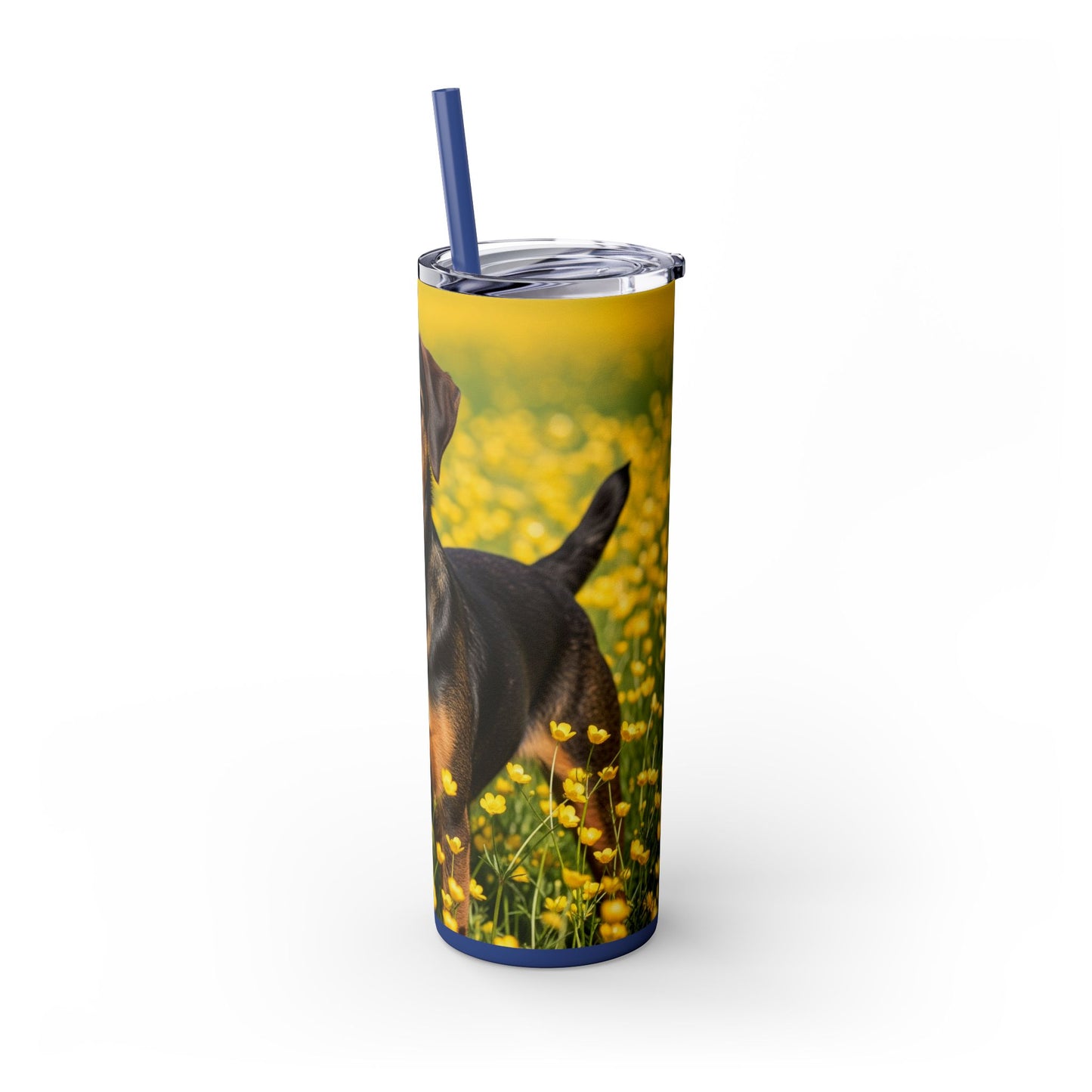 Drever Tumbler with Straw, 20oz