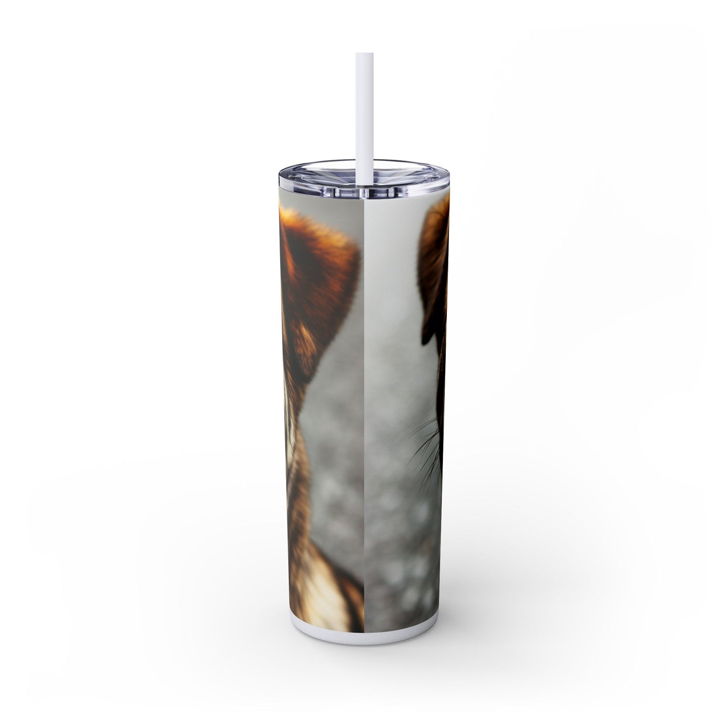 Kai Ken Tumbler with Straw, 20oz