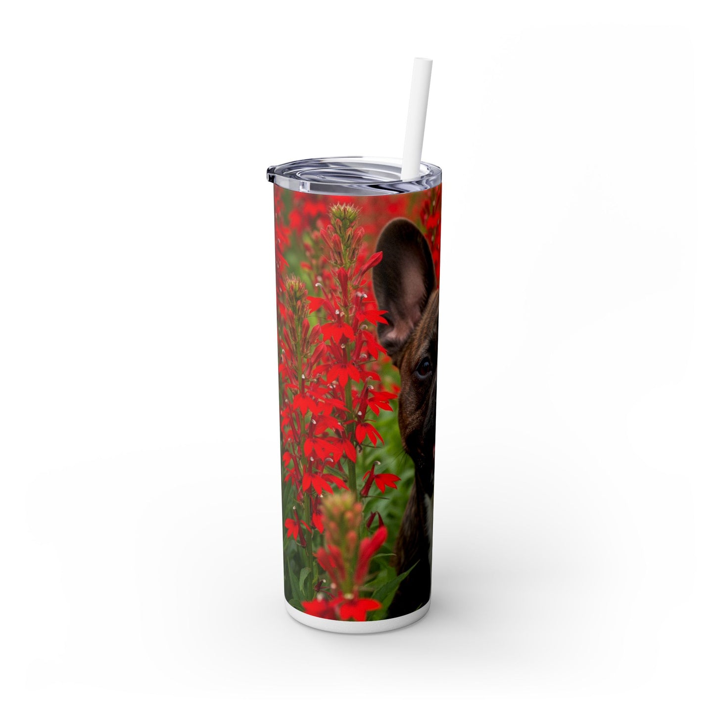 Frenchton Tumbler with Straw, 20oz
