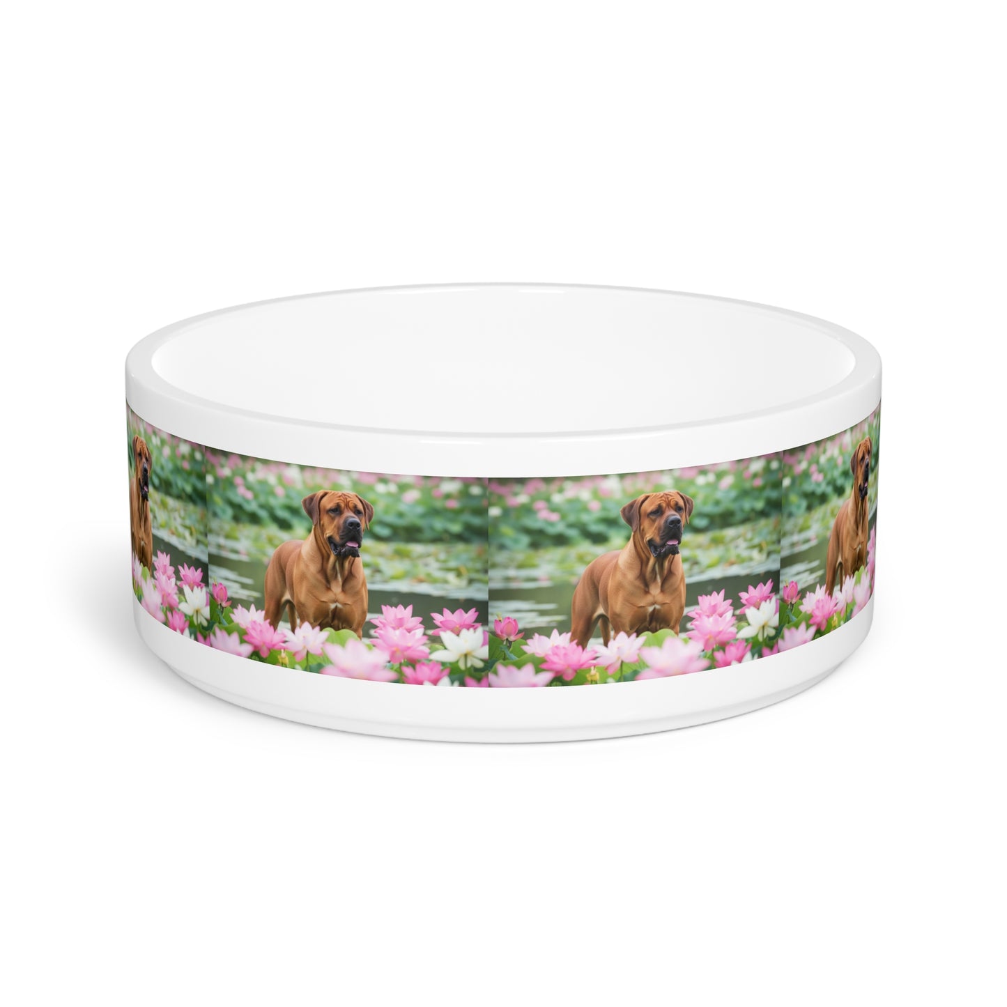 Tosa Pet Bowl