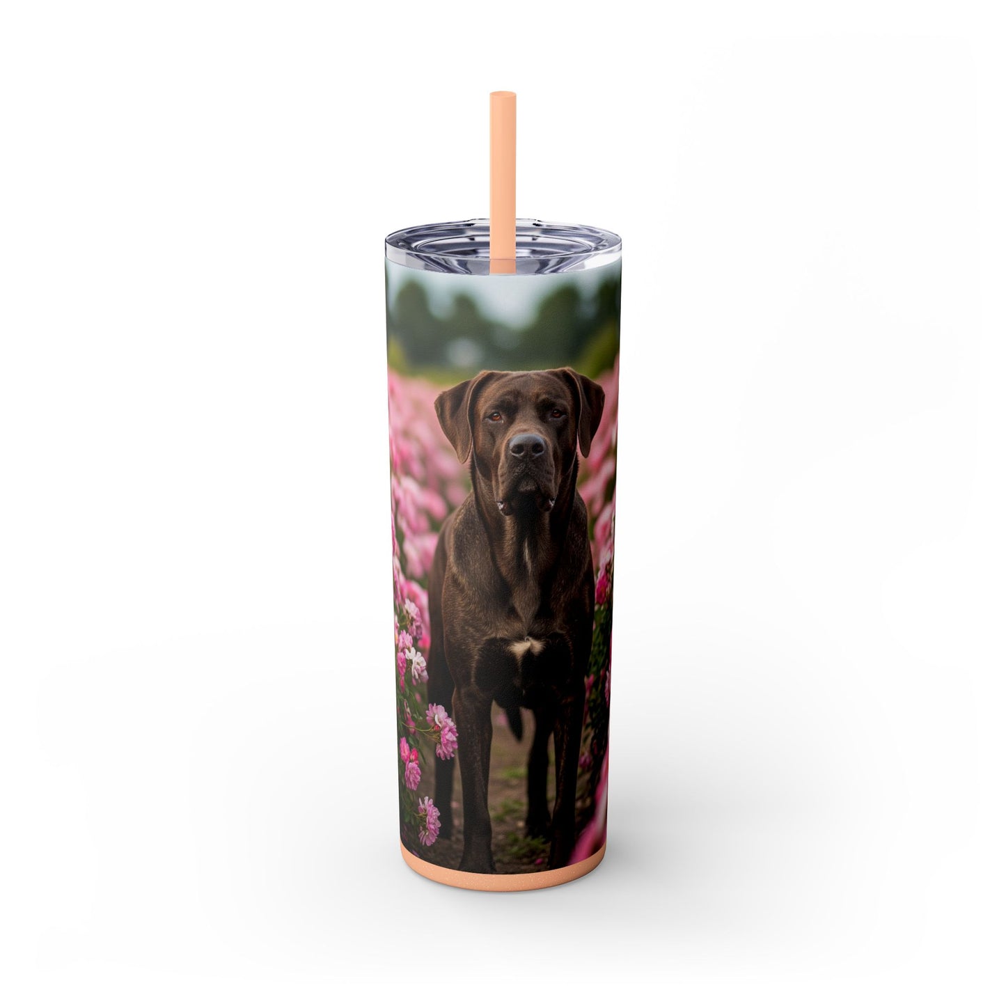 Broholmer Tumbler with Straw, 20oz