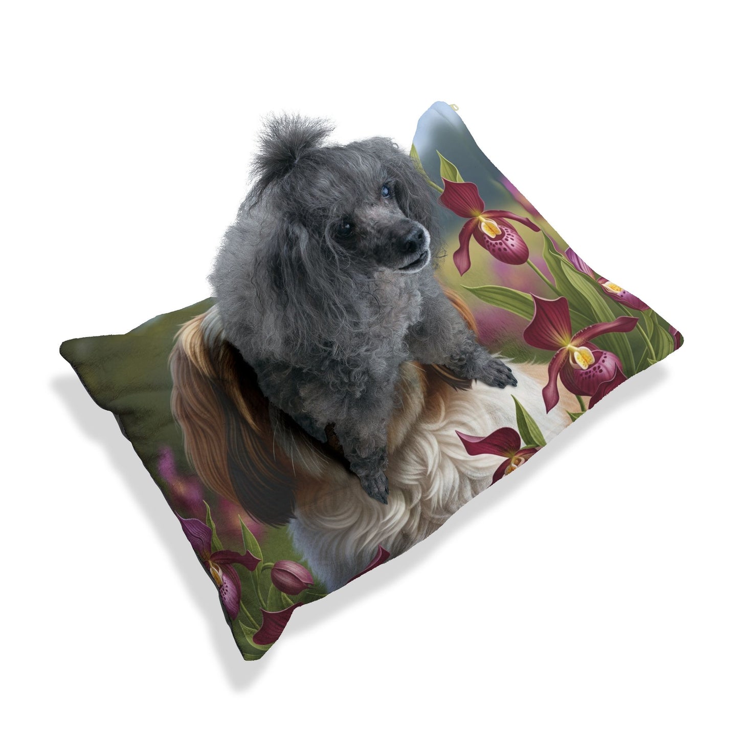 Lhasa Apso Pet Bed