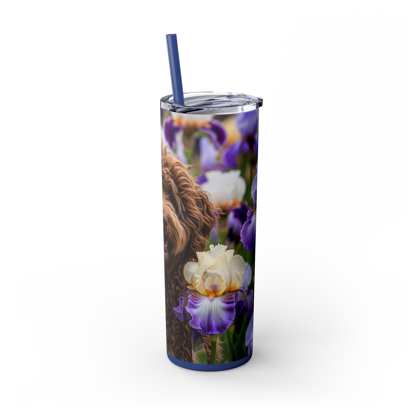 Barbet Skinny Tumbler with Straw, 20oz