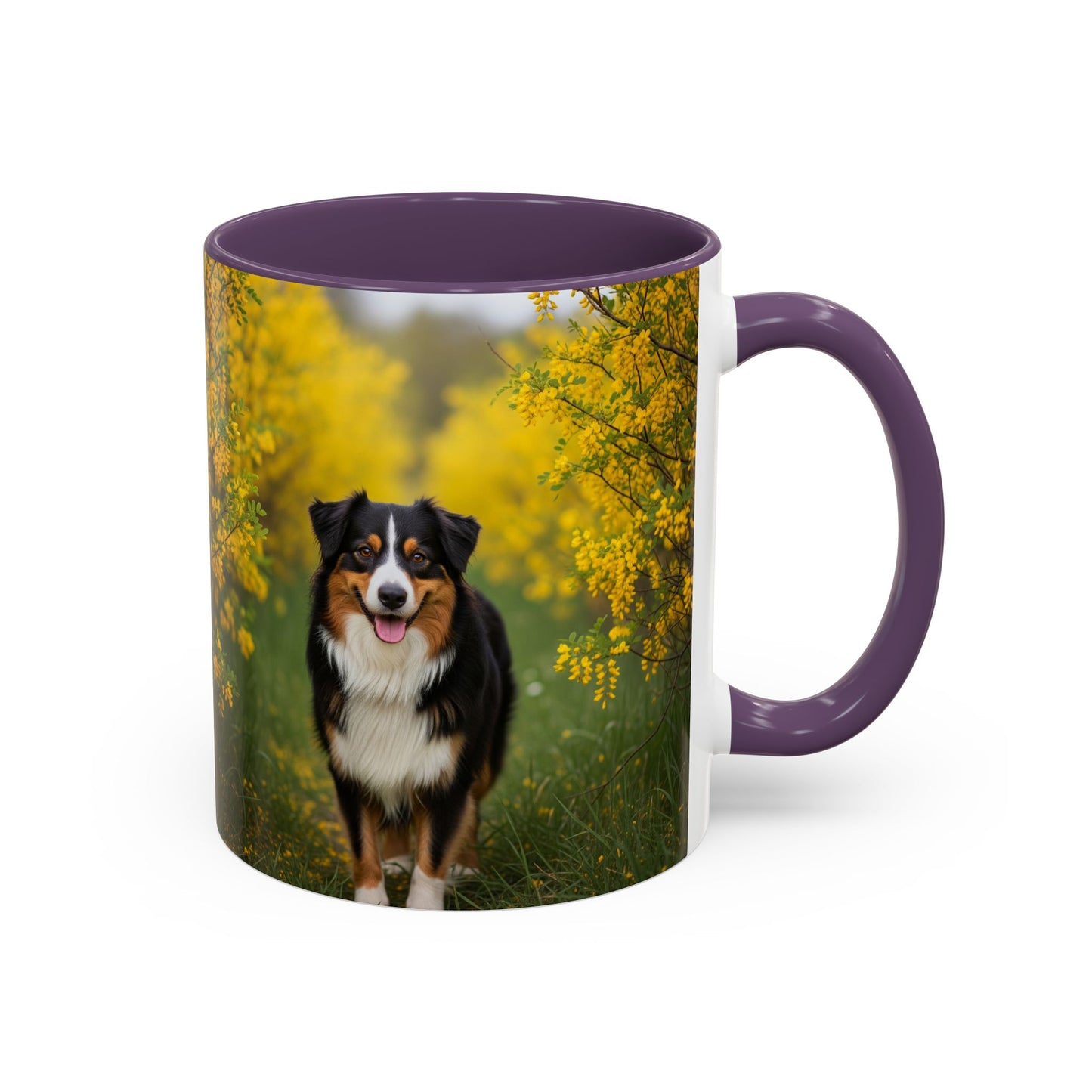 Australian Shepherd Accent Coffee Mug - Perfect Gift for Dog Lovers