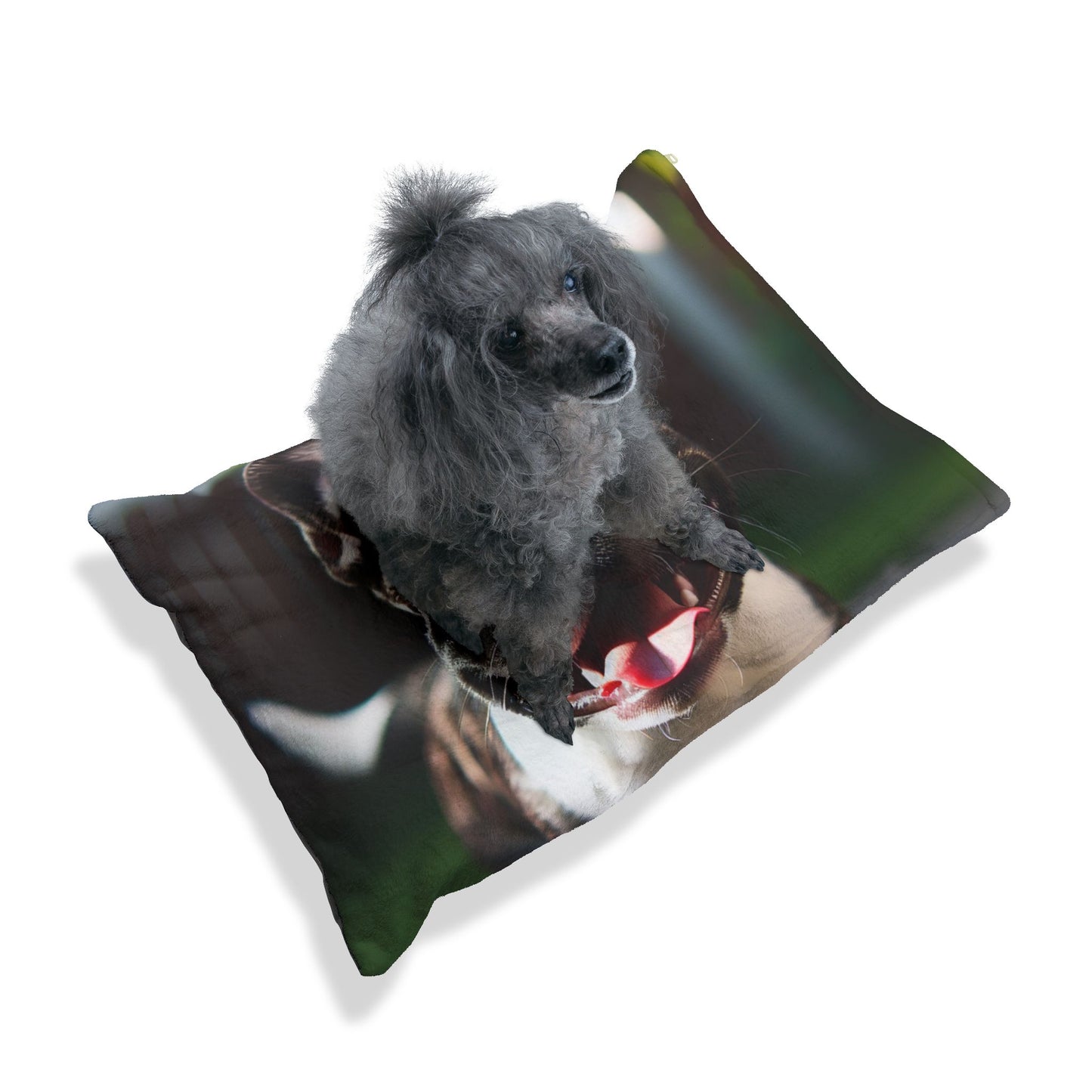 Frenchton Pet Bed