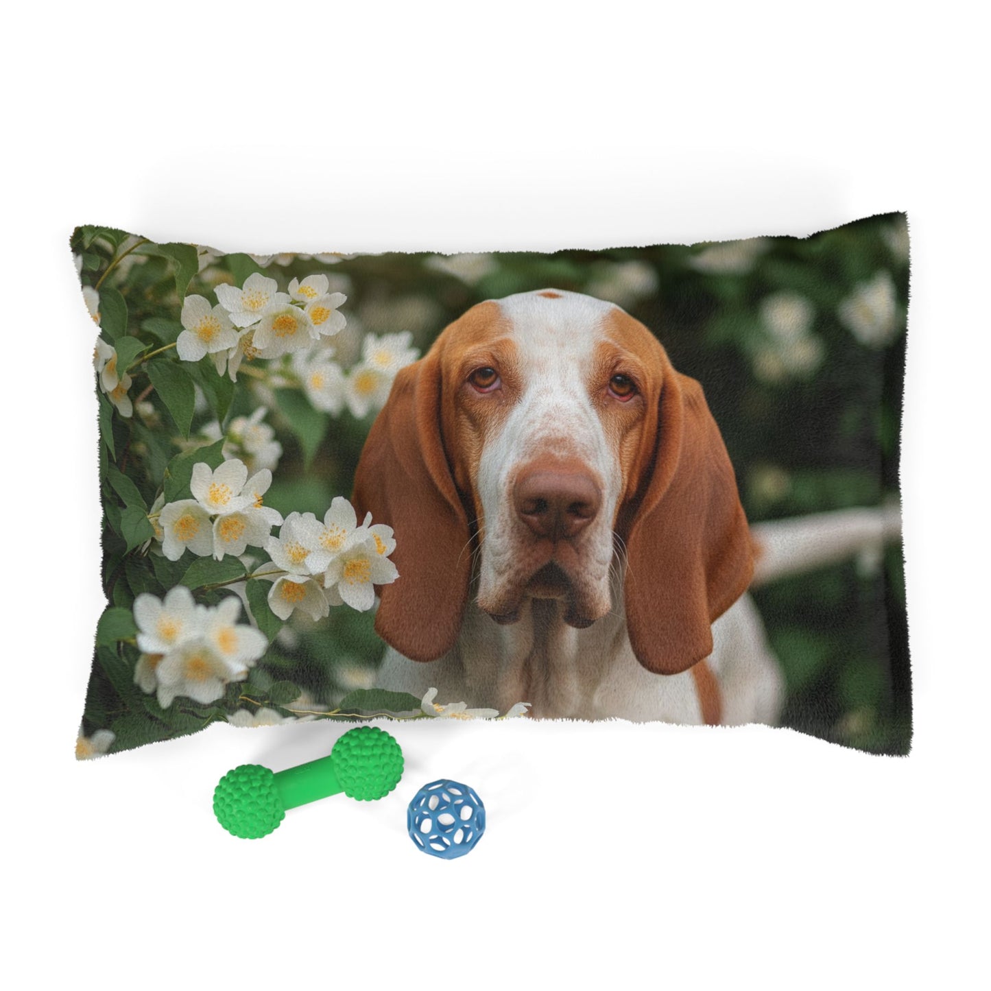 Bracco Italiano Pet Bed