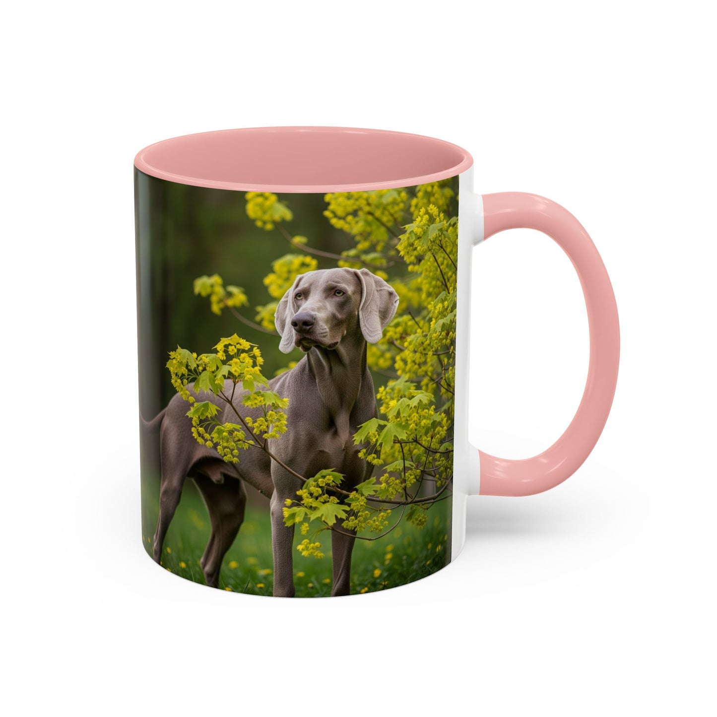 Weimaraner Accent Coffee Mug - Perfect Gift for Dog Lovers