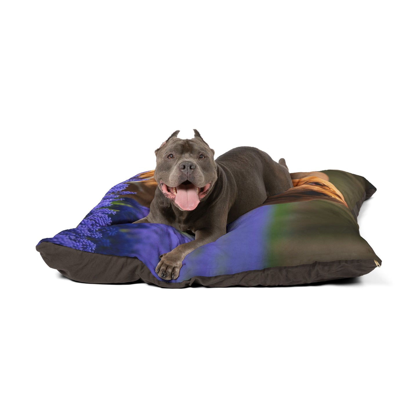 Bloodhound Pet Bed