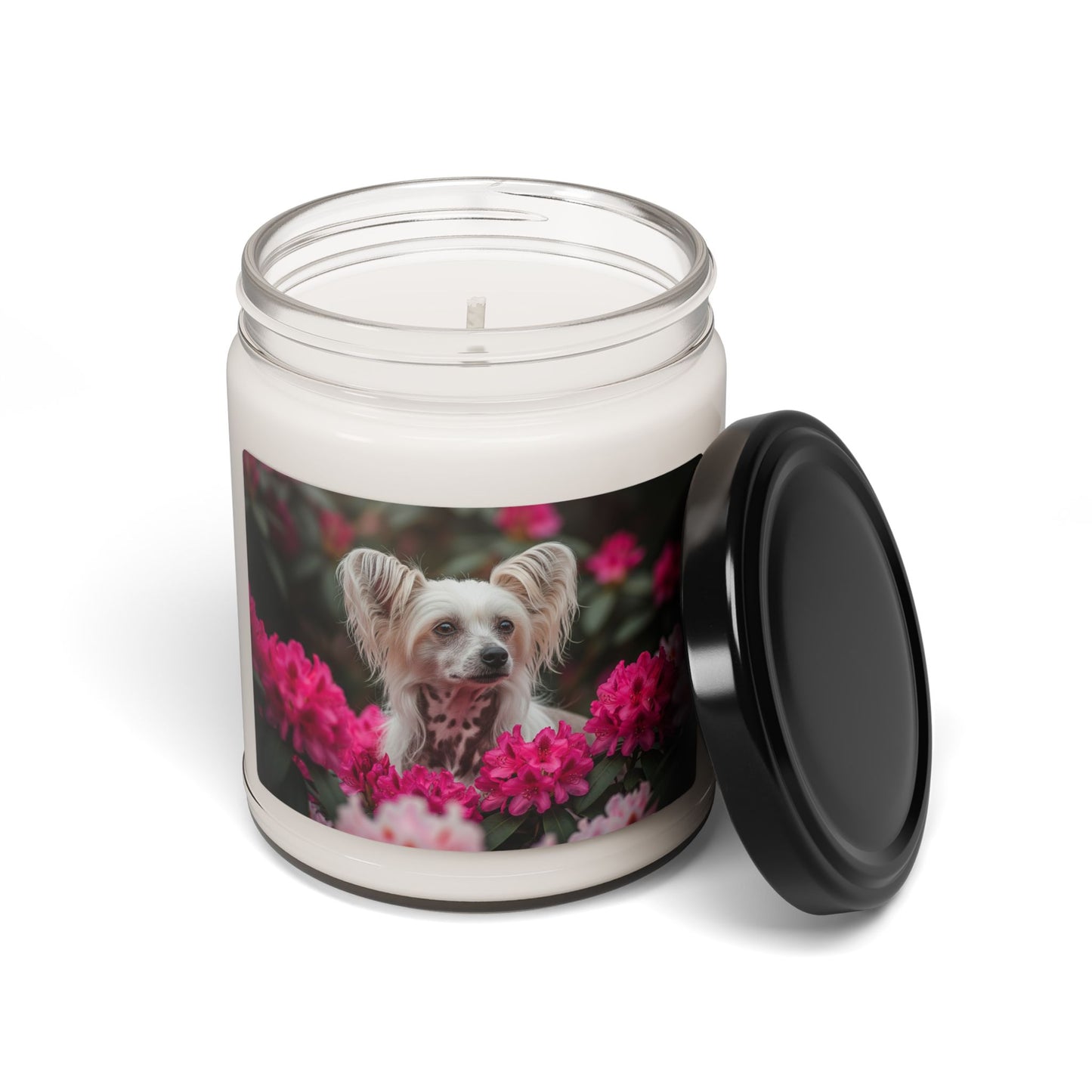 Bougie parfumée au soja, motif chien chinois à crête, 255 g