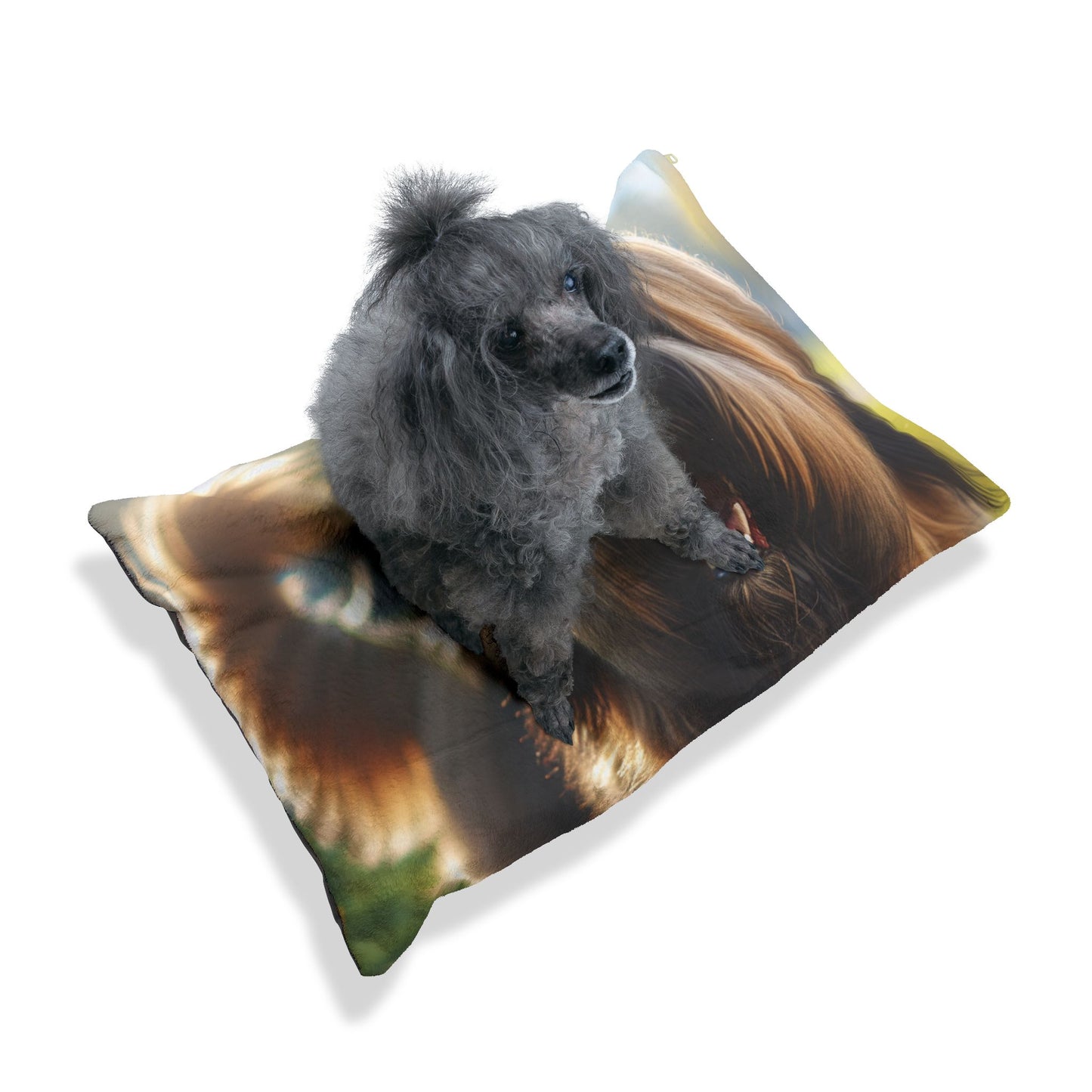 Briard Pet Bed