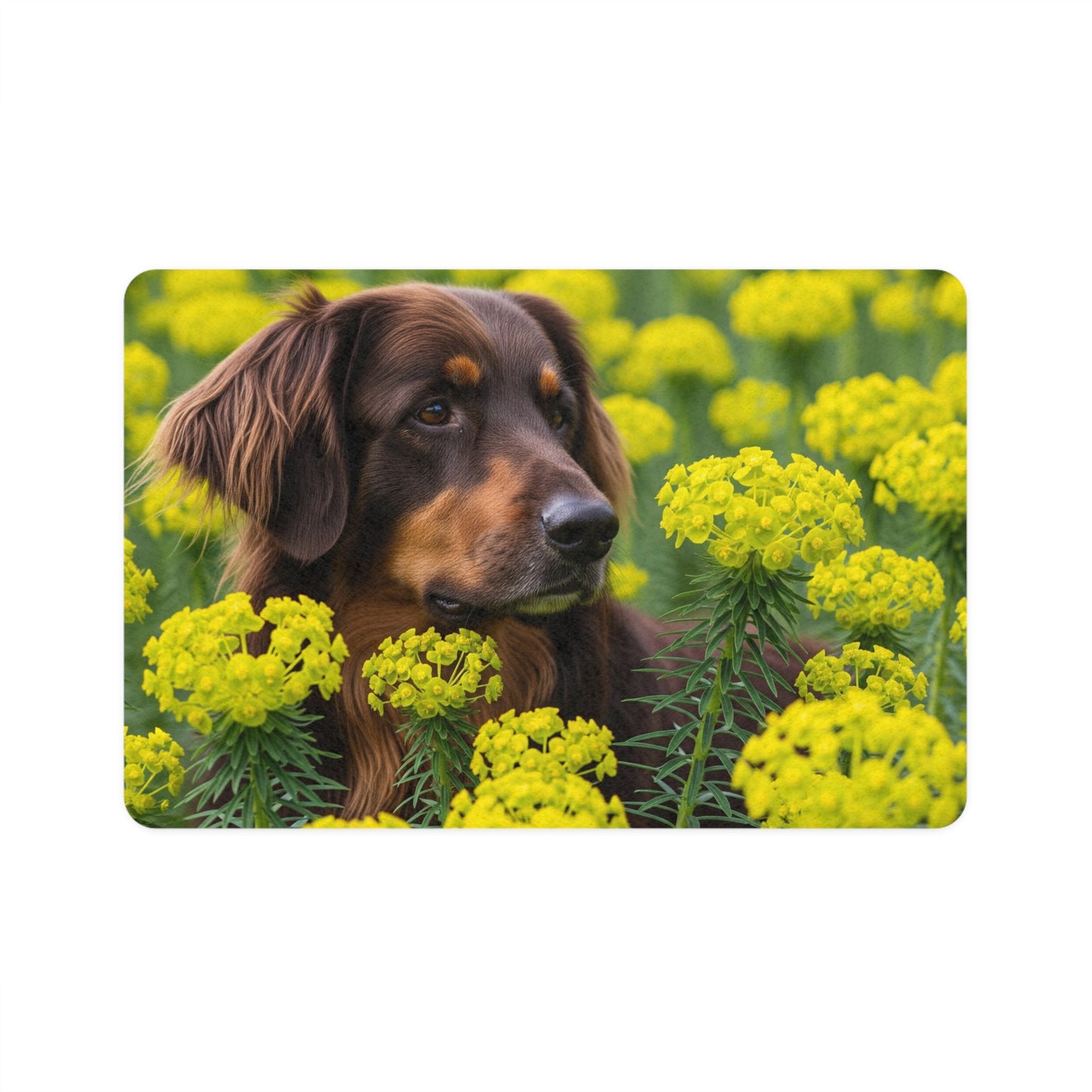 Pet Food Mat (12x18) - Hovawart