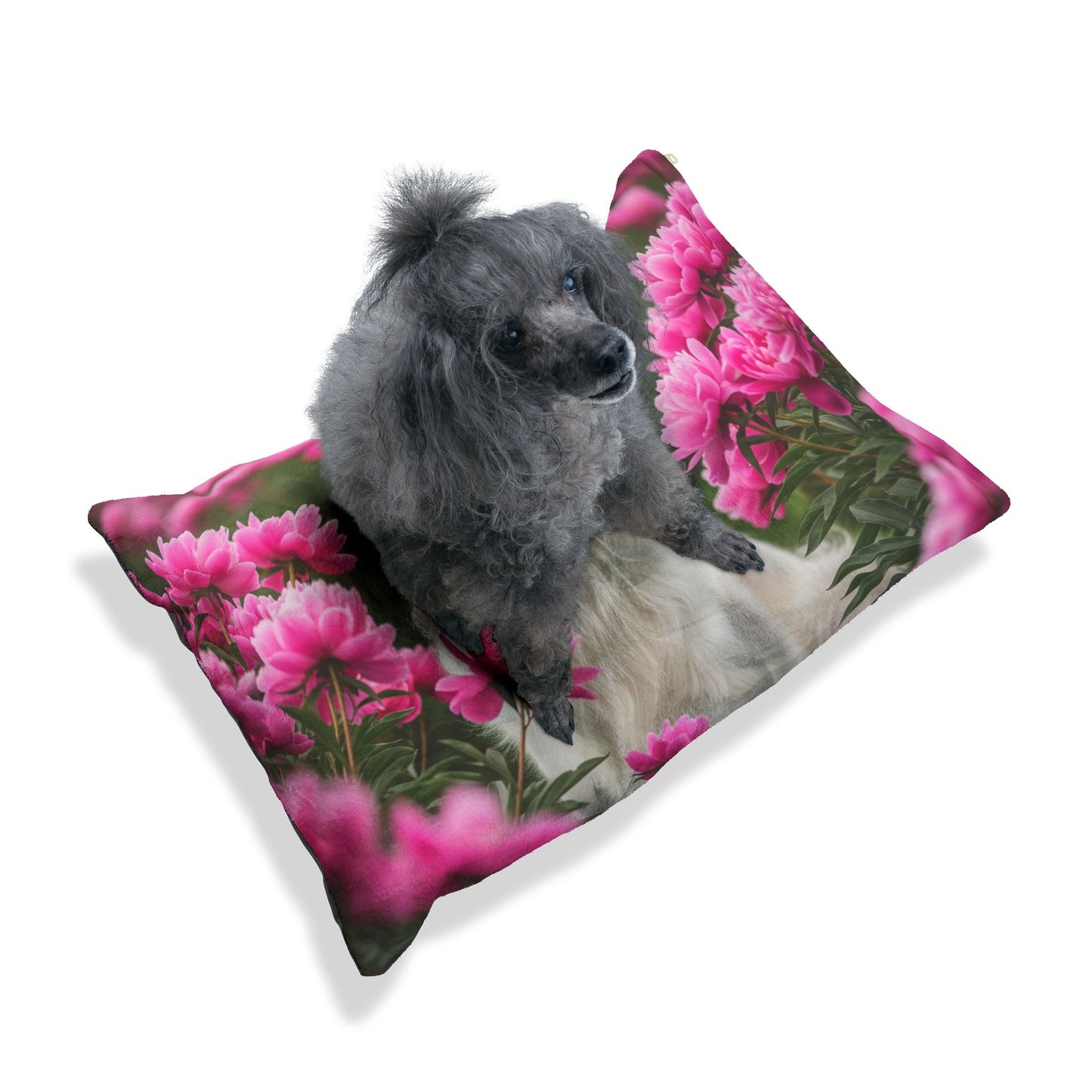 Borzoi Pet Bed