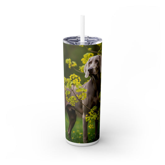 Weimaraner Skinny Tumbler with Straw, 20oz