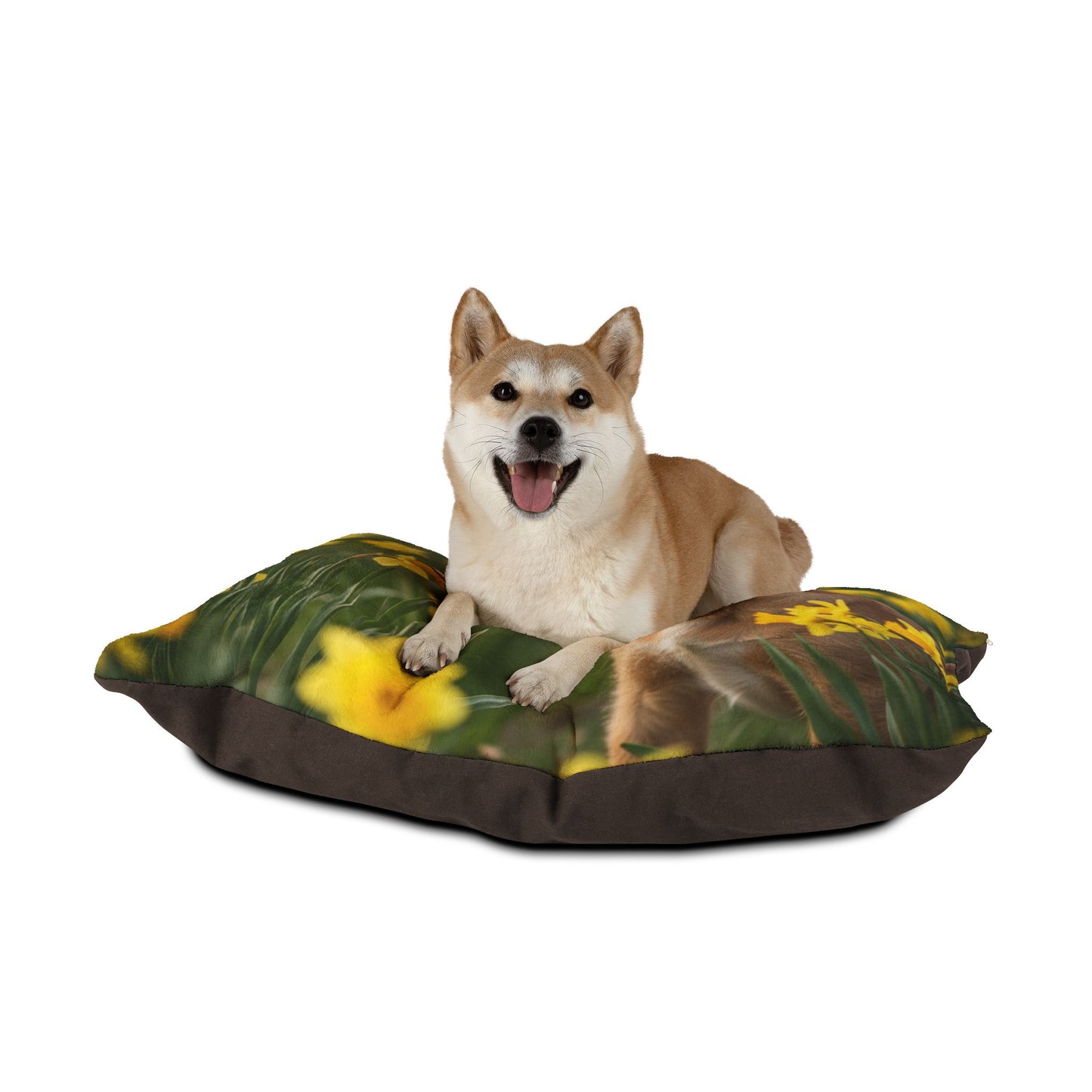 Portuguese Podengo Pequeno Pet Bed