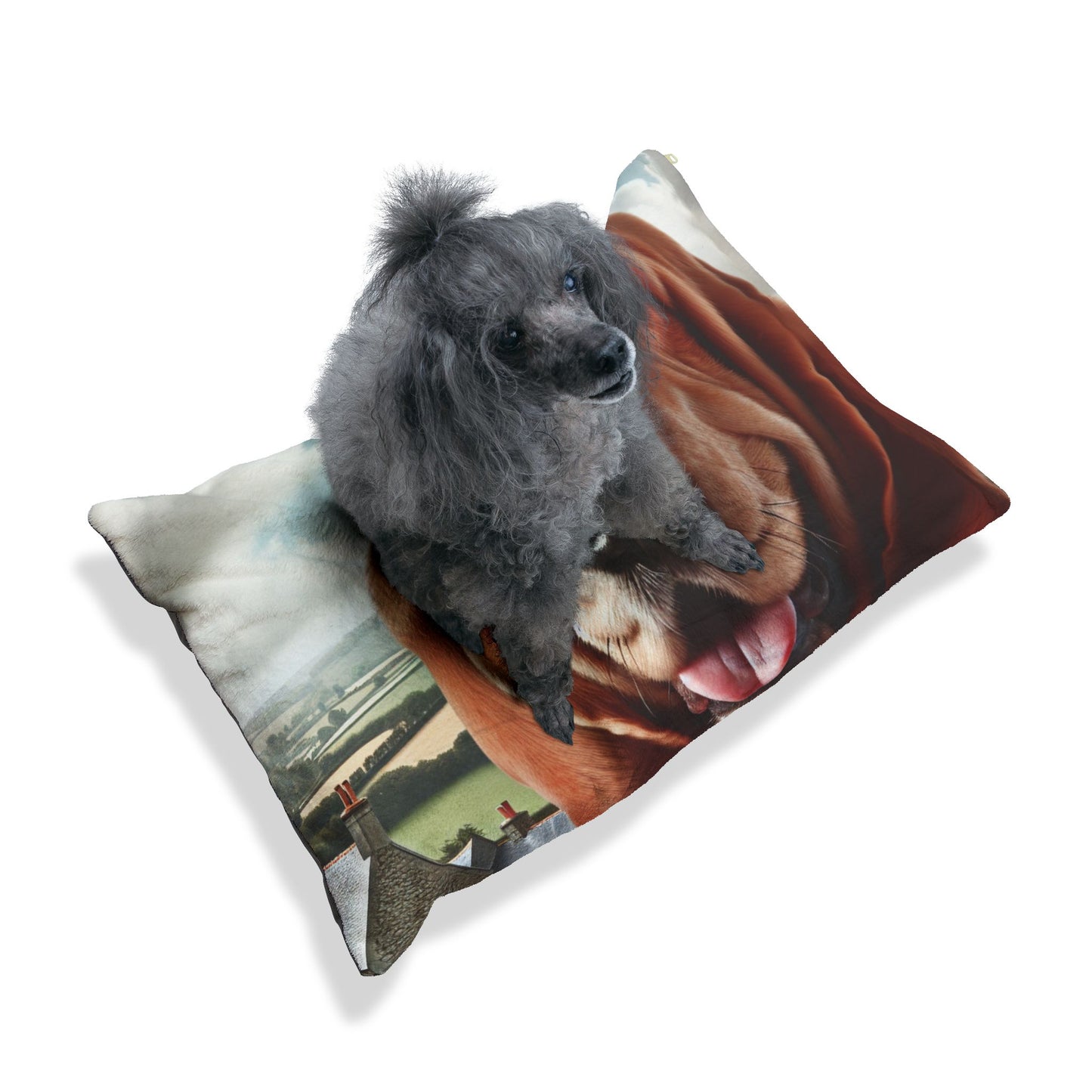 Basset Fauve de Bretagne Pet Bed