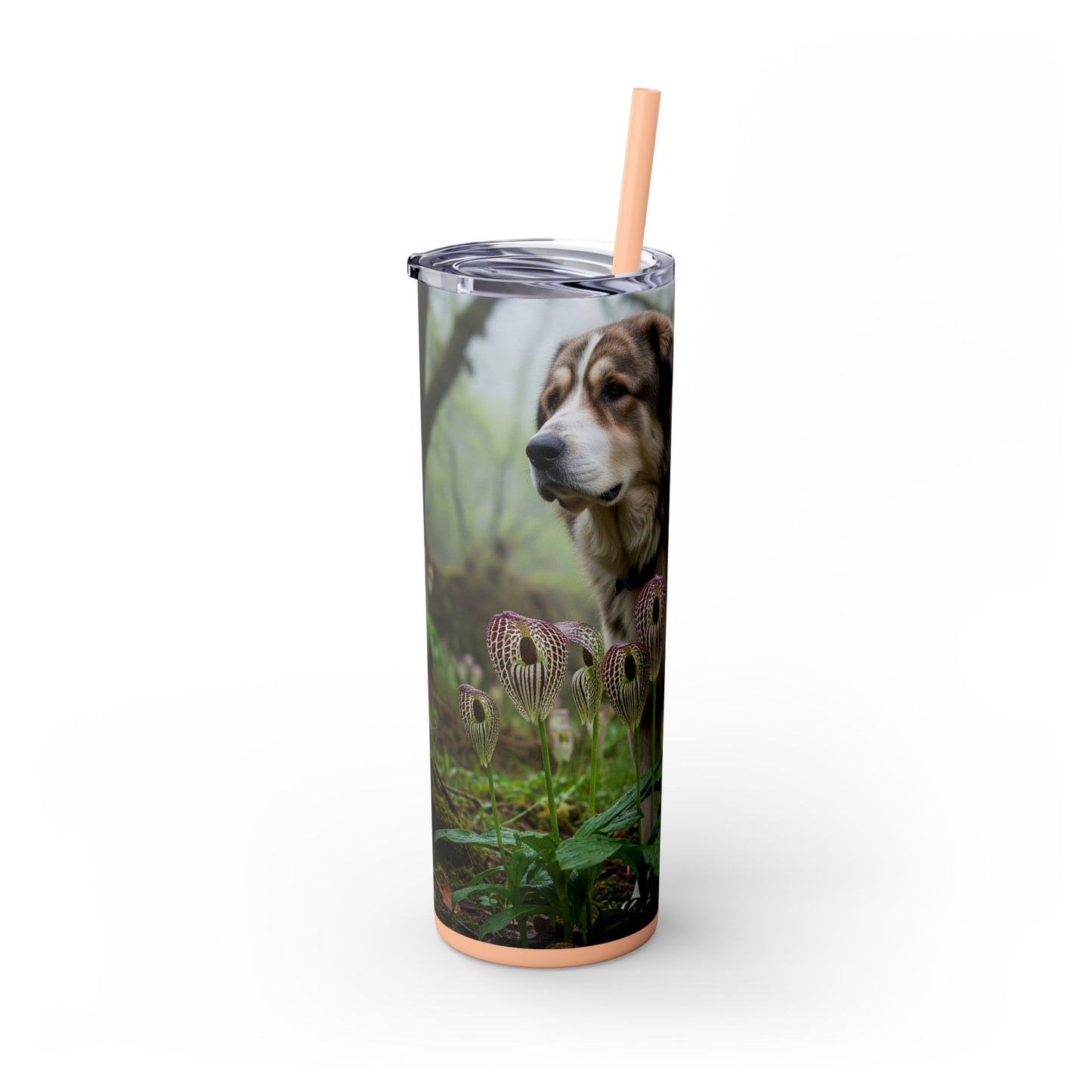 Bakharwal Tumbler with Straw, 20oz
