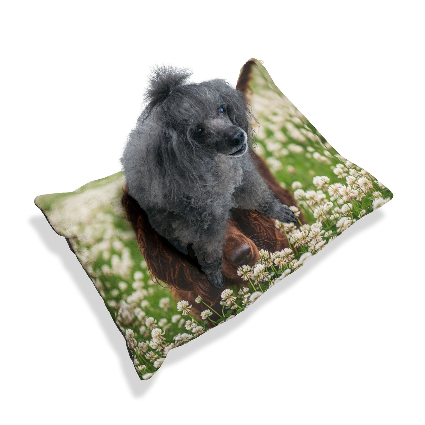 Irish Water Spaniel Pet Bed