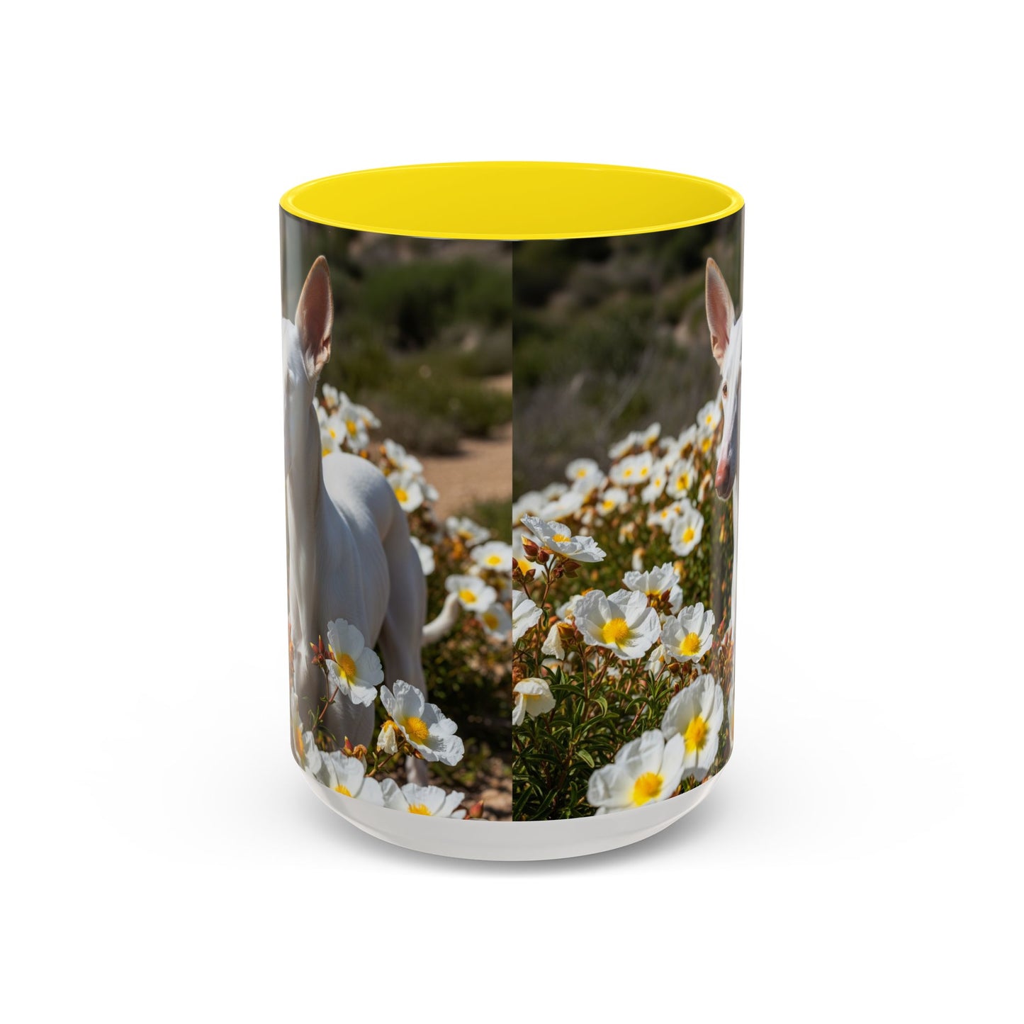 Ibizan Hound Accent Coffee Mug - Perfect Gift for Dog Lovers