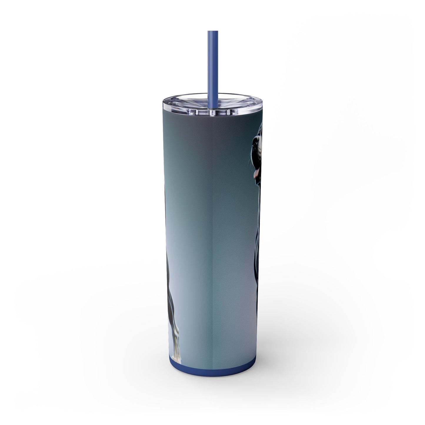 Gull Dong Tumbler with Straw, 20oz