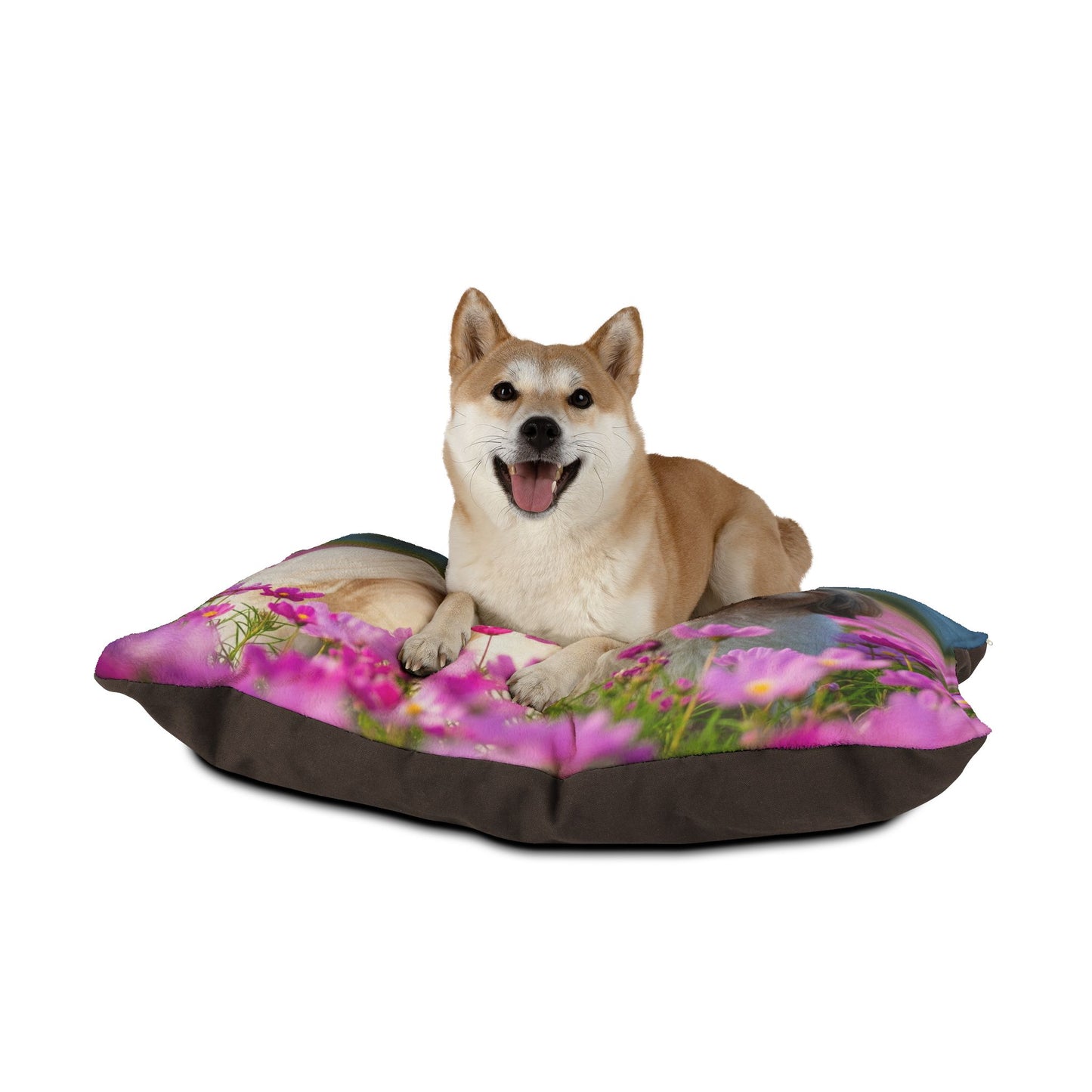 Cama para mascotas Shih Tzu