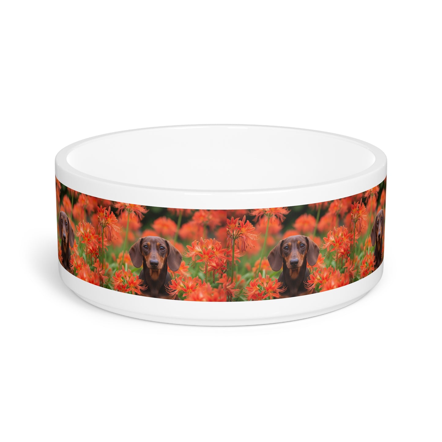 Dachshund Pet Bowl