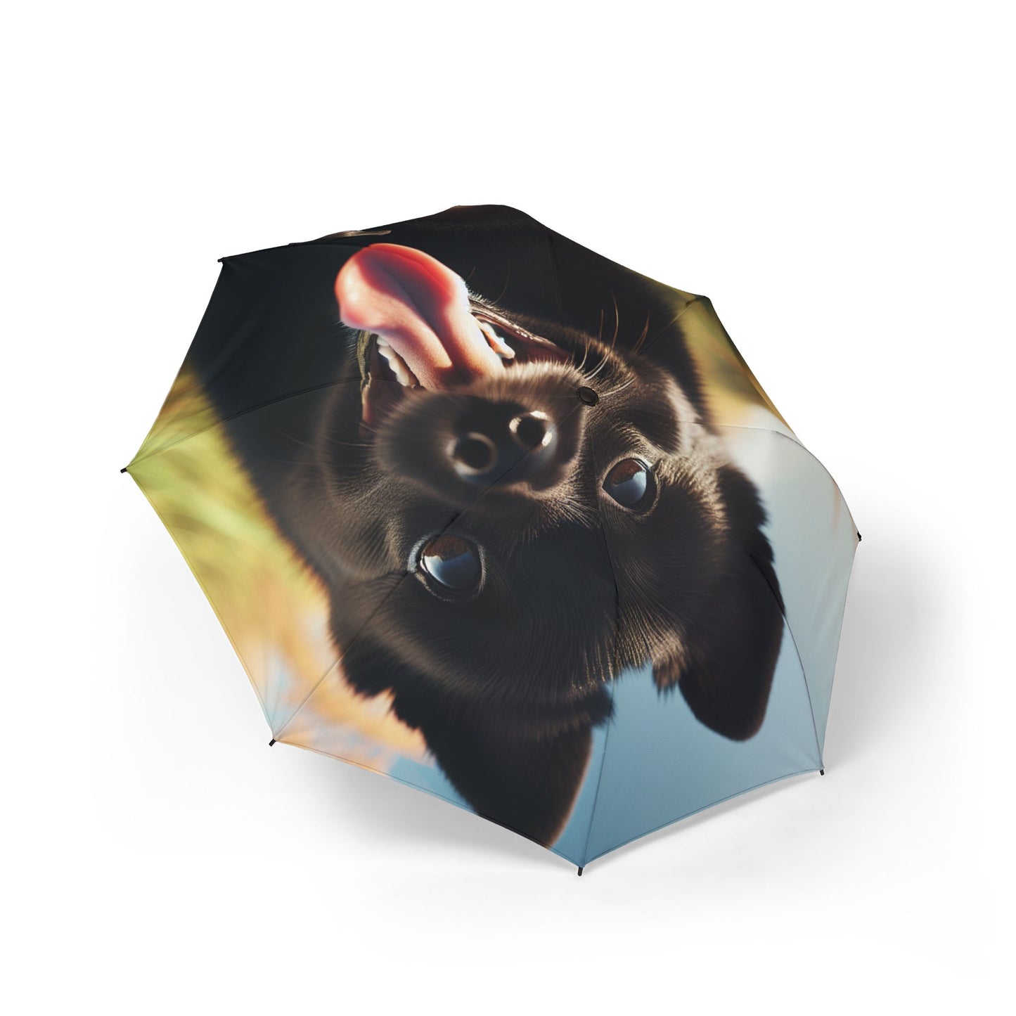 Schipperke Semi-Automatic Foldable Umbrella