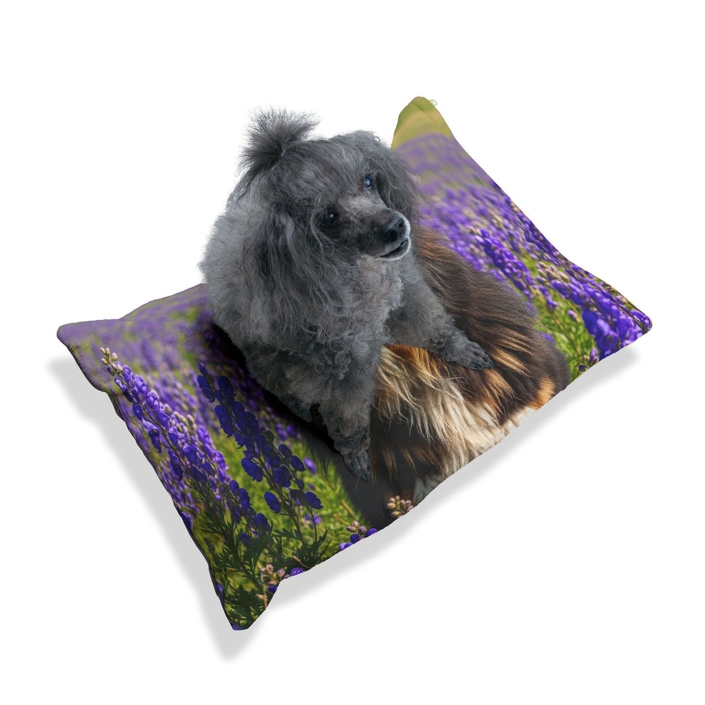 Himalayan Sheepdog Pet Bed
