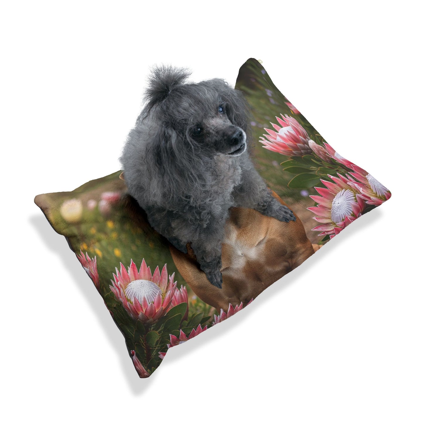 Boerboels Pet Bed