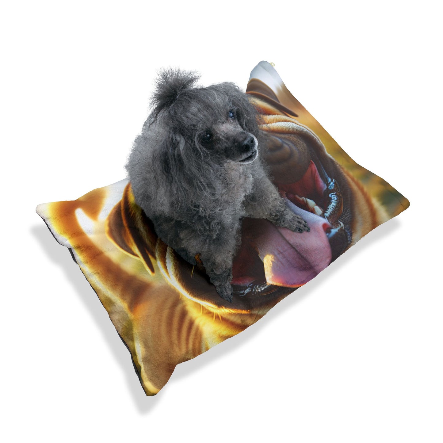 Bully Kutta Pet Bed