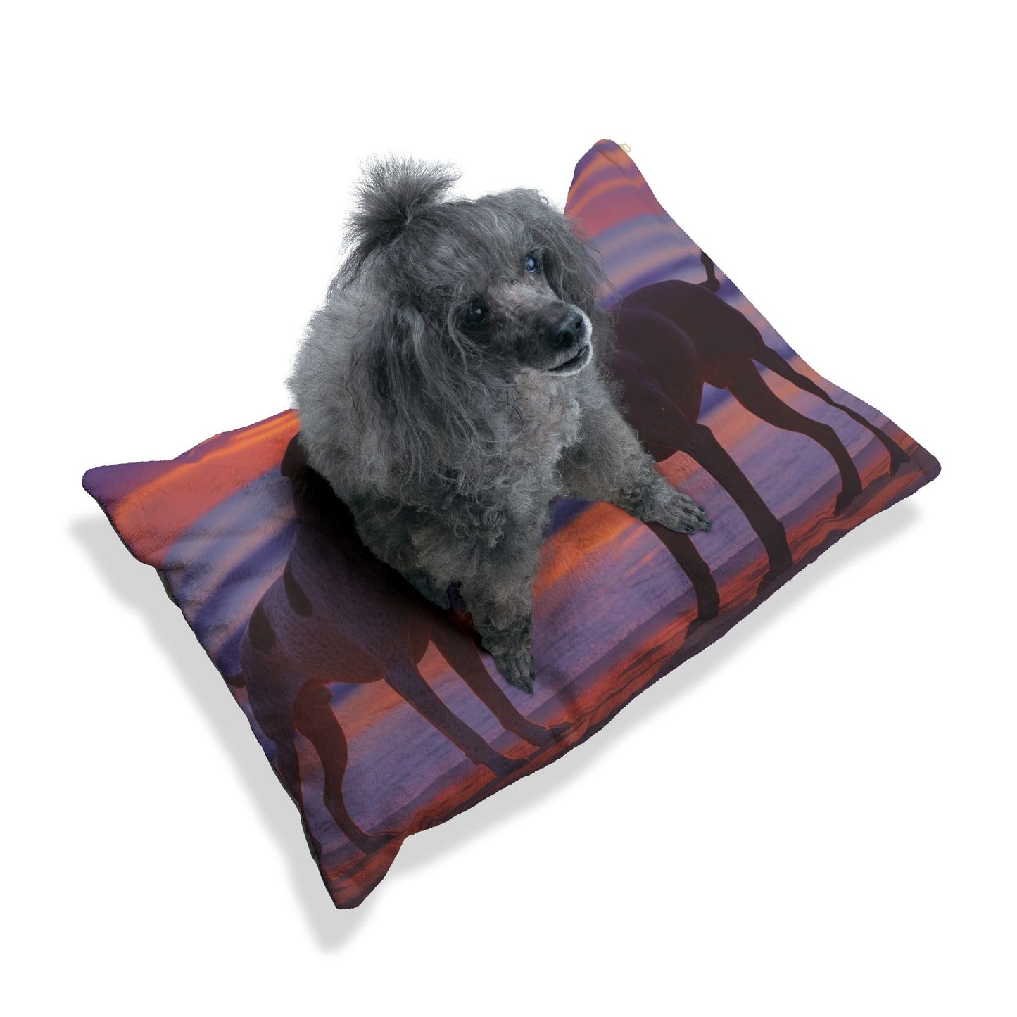 German Shorthaired Pointer Love Pet Bed