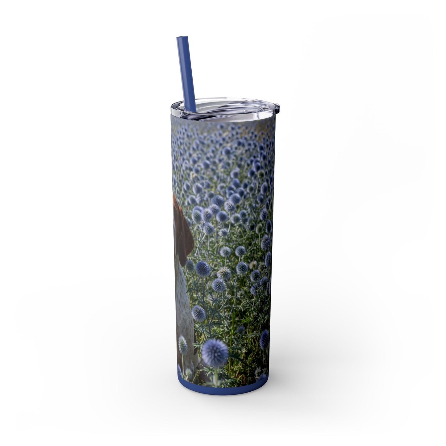 Braque Francais Pyrenean Tumbler with Straw, 20oz
